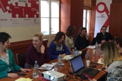 PPMA-Local-coordinating-meeting-1